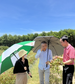 Nguồn nguyên liệu chuẩn VIETGAP