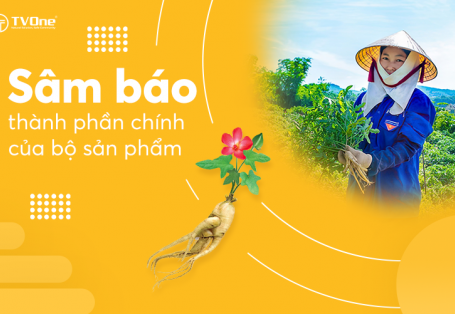 Sâm Báo - thành phần chính của bộ sản phẩm TVOne Việt Nam