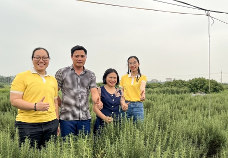 Thăm Quan Vùng Trồng Hương Thảo 