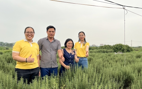 Thăm Quan Vùng Trồng Hương Thảo 