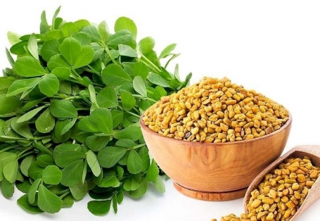 CƠ CHẾ SẢN PHẨM FAMILK