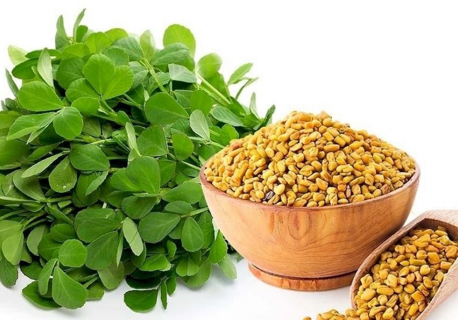 CƠ CHẾ SẢN PHẨM FAMILK