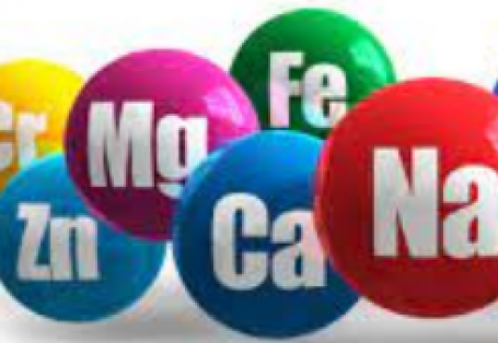 NHỮNG VẪN ĐỀ GẶP PHẢI ĐỐI VỚI HEO NÁI TRONG GIAI ĐOẠN NUÔI CON