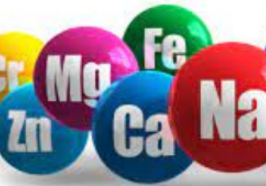 NHỮNG VẪN ĐỀ GẶP PHẢI ĐỐI VỚI HEO NÁI TRONG GIAI ĐOẠN NUÔI CON