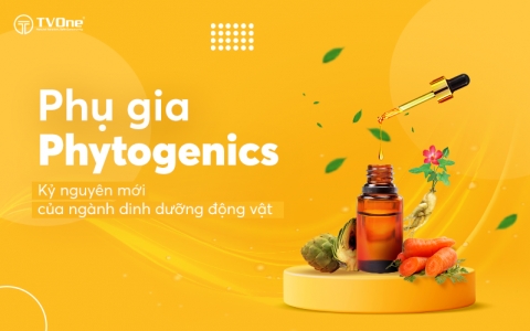 Phụ gia Phytogenics - kỷ nguyên mới của ngành dinh dưỡng động vật