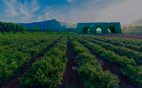 THÀNH PHẦN CHÍNH CỦA BỘ SẢN PHẨM TVONE VIỆT NAM