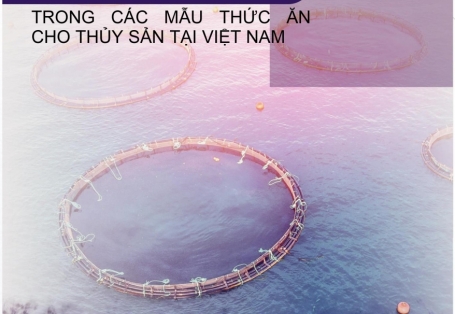 TVONE VIỆT NAM THAM DỰ ILDEX 2022 - MANG TẦM VÓC VIỆT TỚI BẠN BÈ QUỐC TẾ