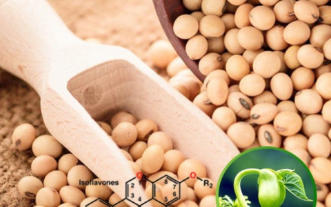Những công dụng bất ngờ của Isoflavones đậu nành