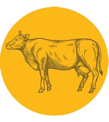 Thức ăn bổ sung cho bò
